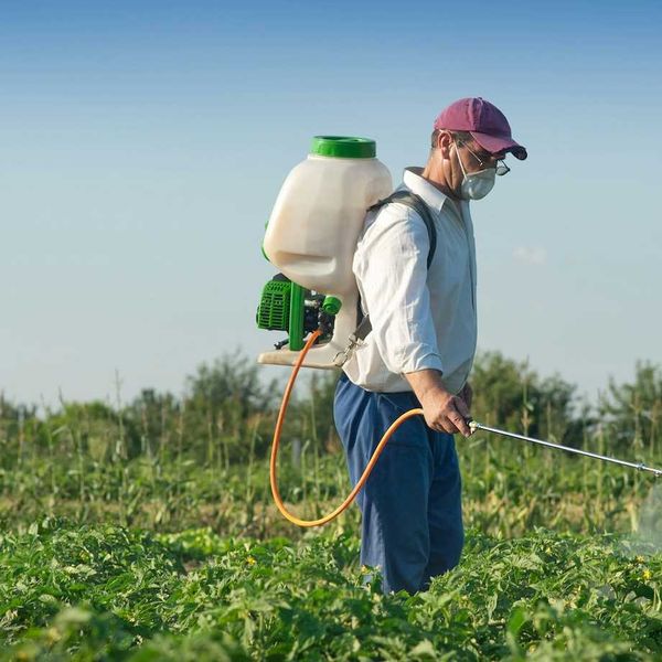 Fury in UK over herbicide plan to tackle weeds