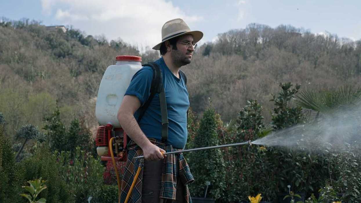 Man in blue T-shirt and brimmed hat spraying pesticides from a backpack sprayer