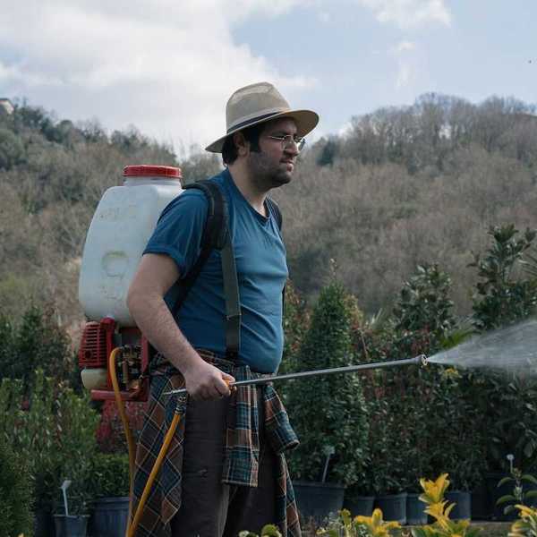 Man in blue T-shirt and brimmed hat spraying pesticides from a backpack sprayer