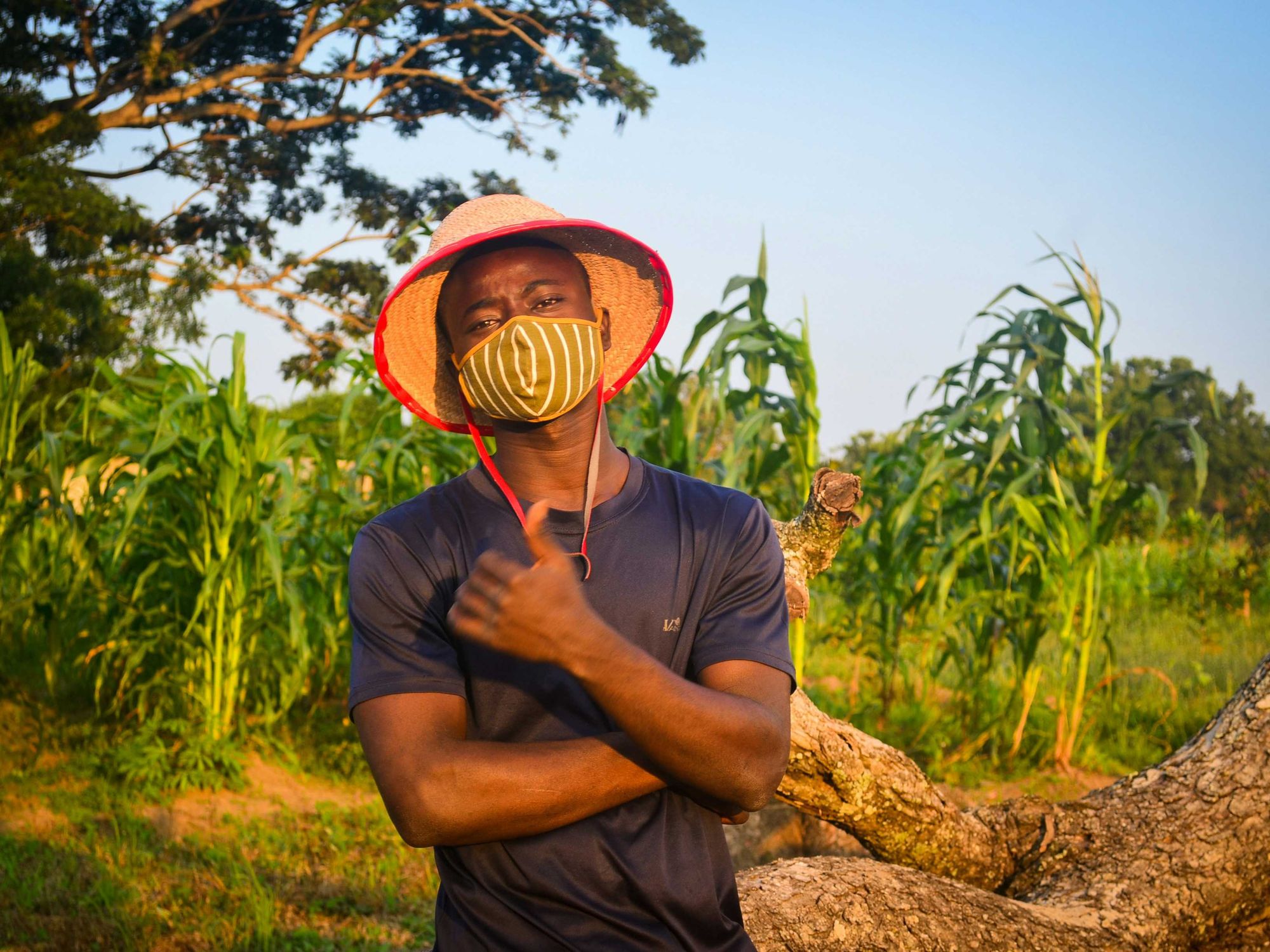 photo of Toxic harvest: Hazardous pesticides harm food production, exports image