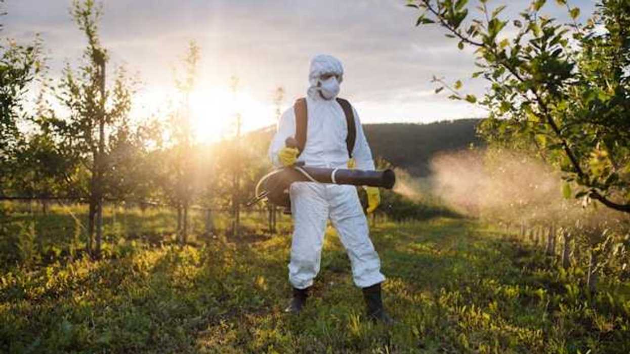 Man in white hazmat suit spraying herbicide in a field