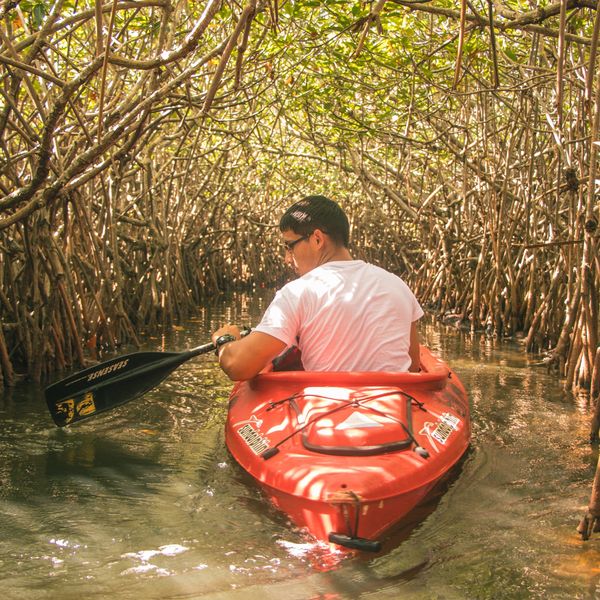 Top environmental fund chief calls on countries to defund activities ‘destroying’ nature
