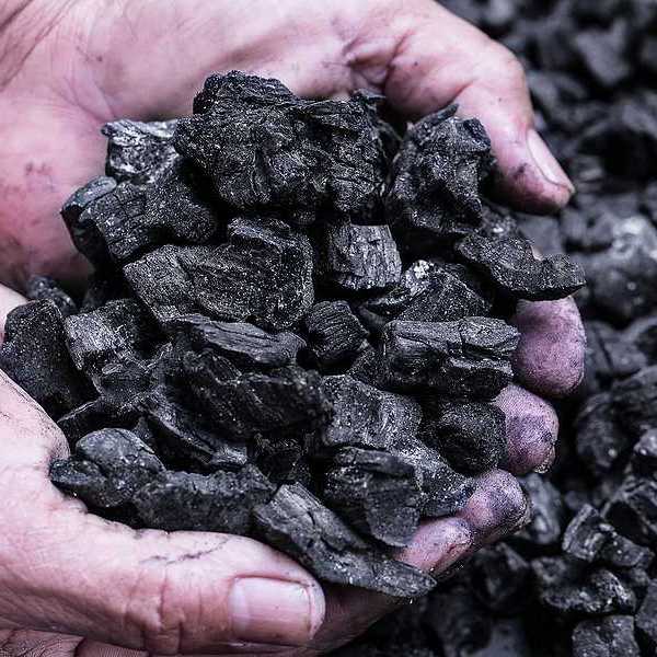 Man's hands holding coal against a background of black coal
