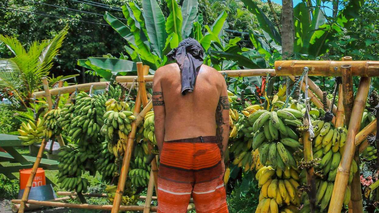 man wearing orange shorts in front of bananas hanging from rails.