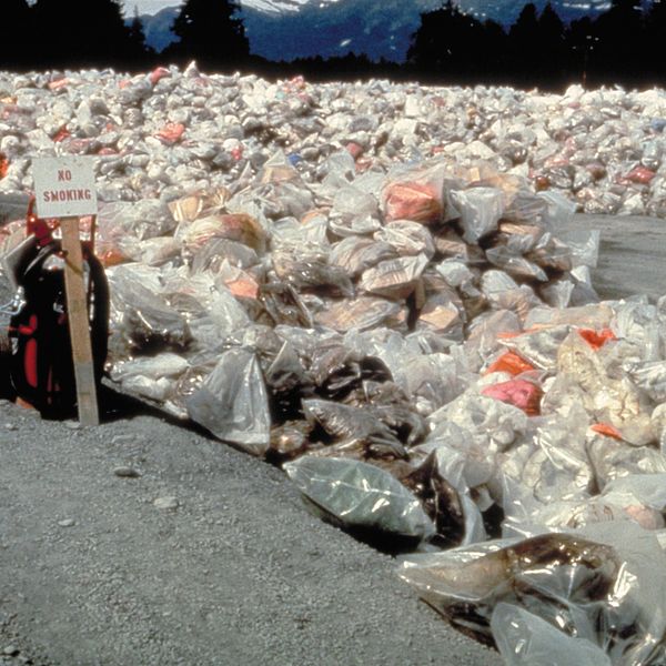 marine ecosystems plastic pollution