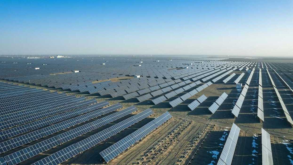 Massive expanse of solar panels stretching to the horizon