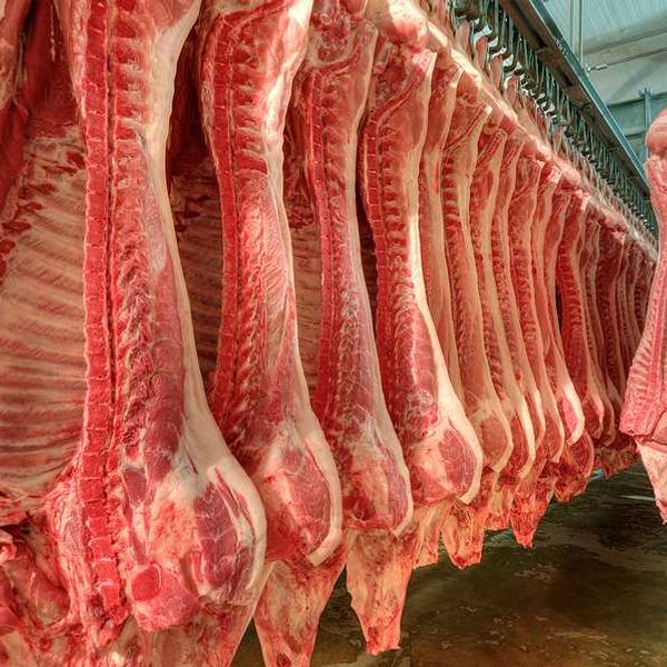 Meat hanging in a factory