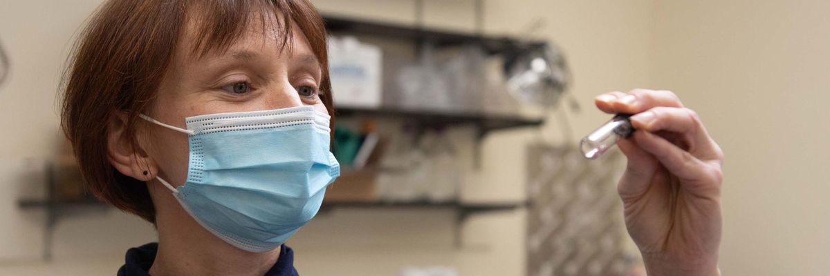 Metalmark biomimicry