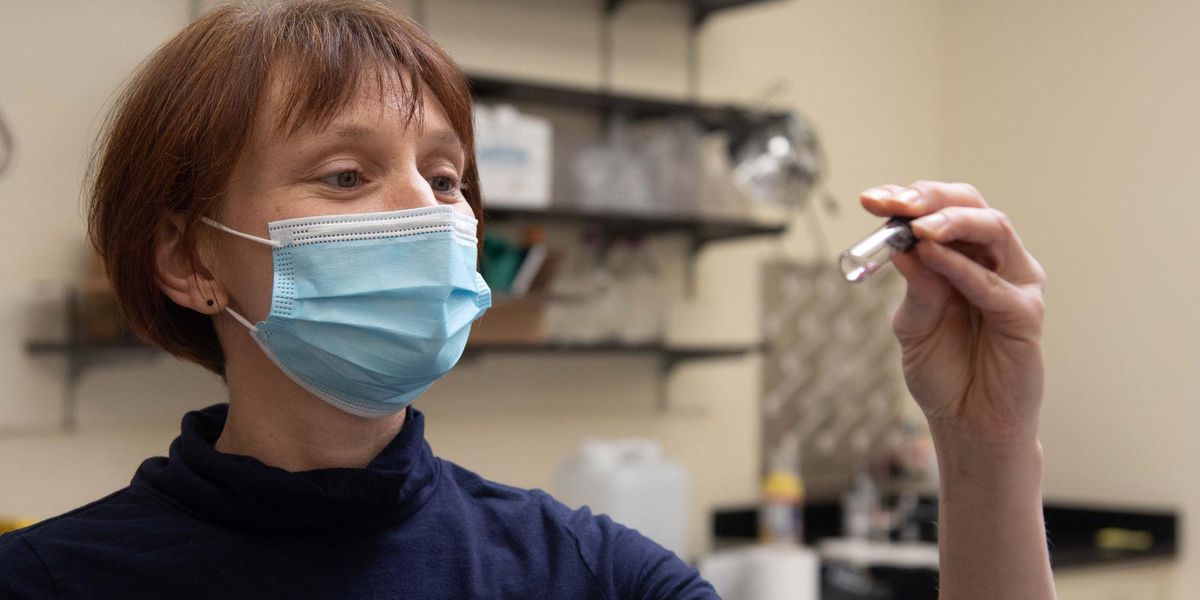 Metalmark biomimicry