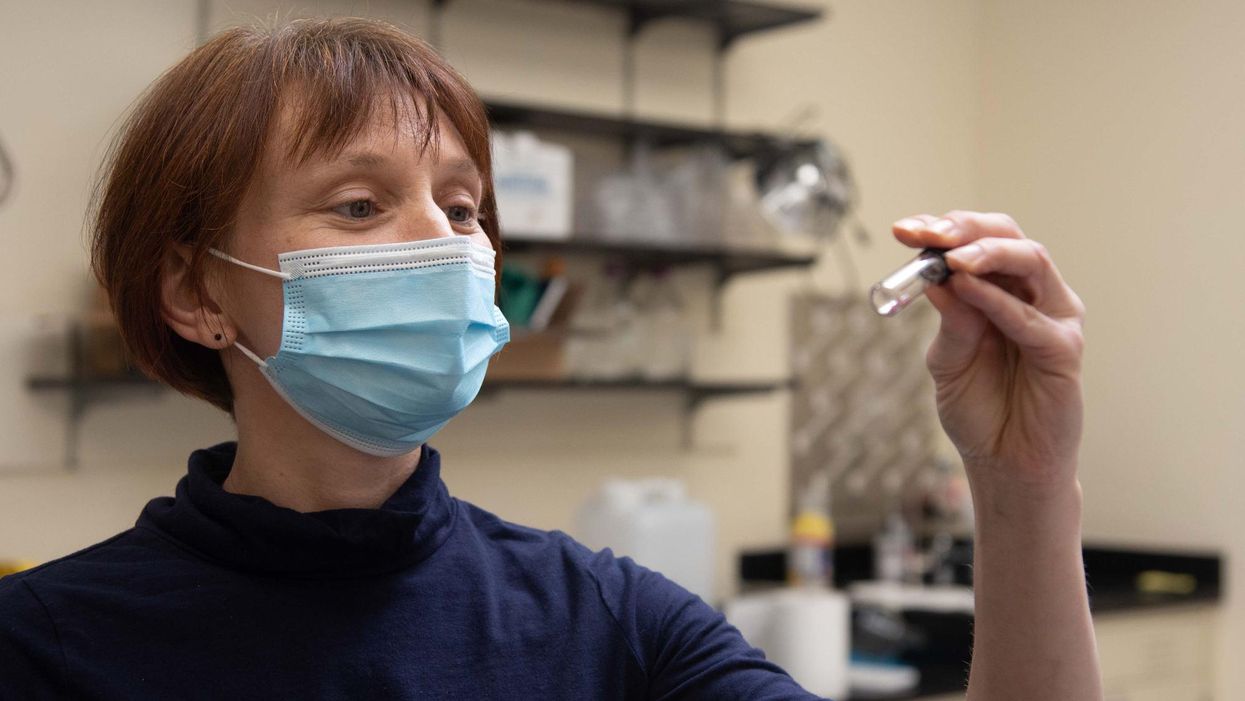 Metalmark biomimicry