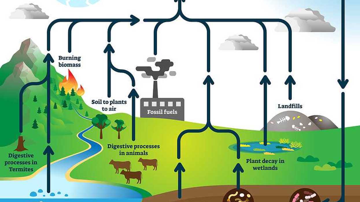 Methane cycle diagram, burning fossil fuels, landfills, plant decay in wetlands, melting permafrost, digestive processes in termites and animals.