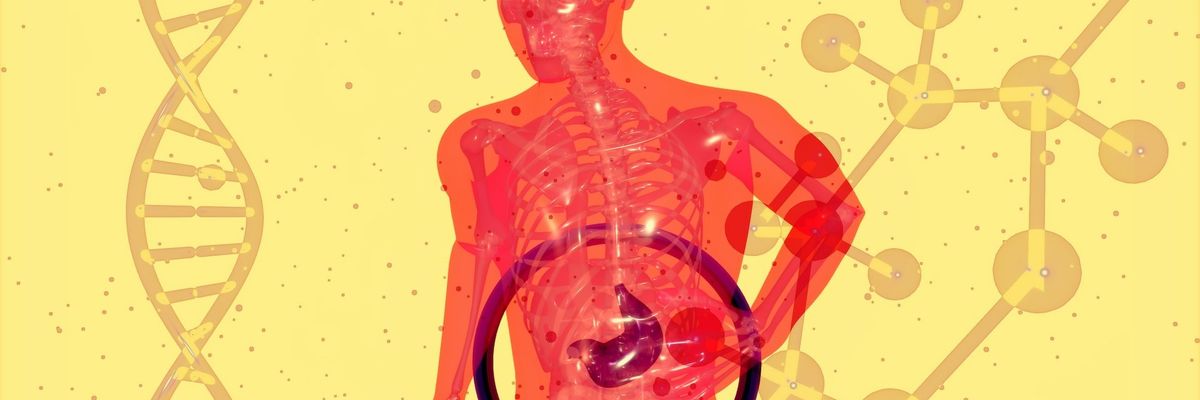 microplastic gut health