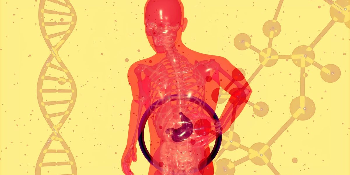 microplastic gut health