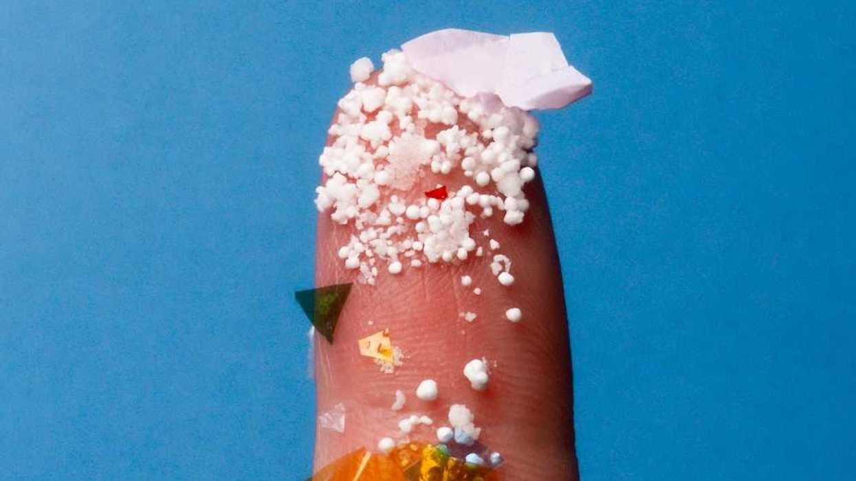 Microplastics displayed on a human finger