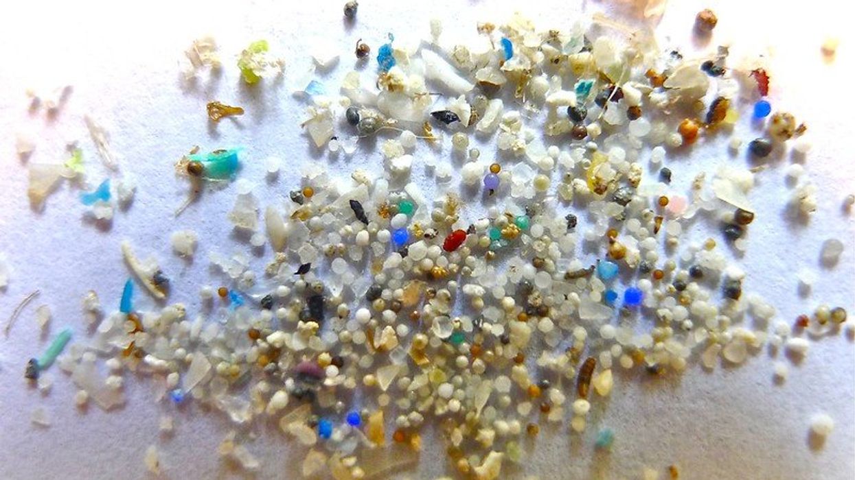 microplastics exposure