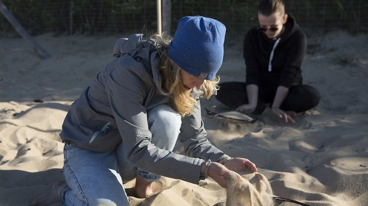 microplastics nanoplastics & nurdles