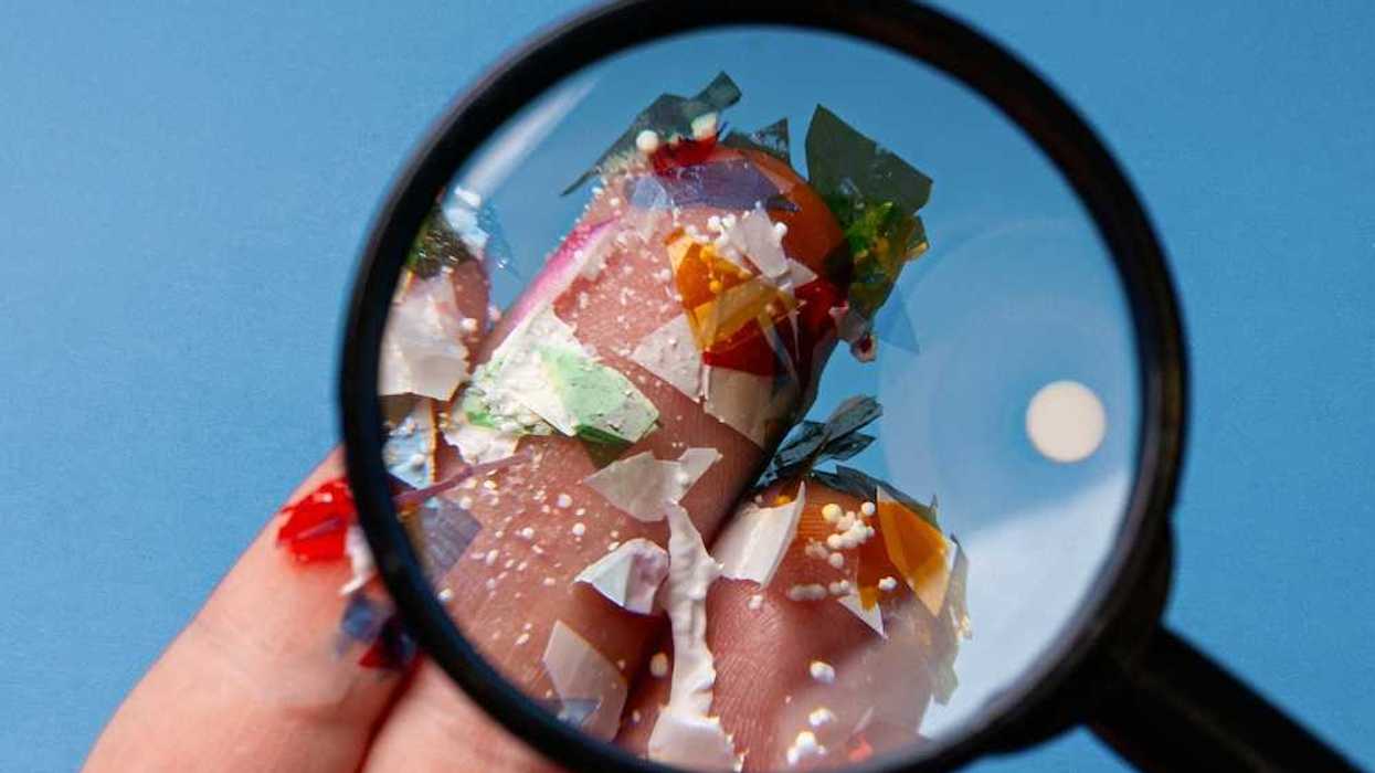 Microplastics on human fingers as seen under magnification furnished by a magnifying glass