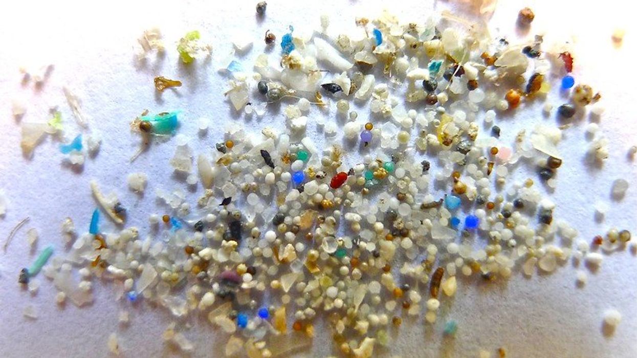 microplastics particles