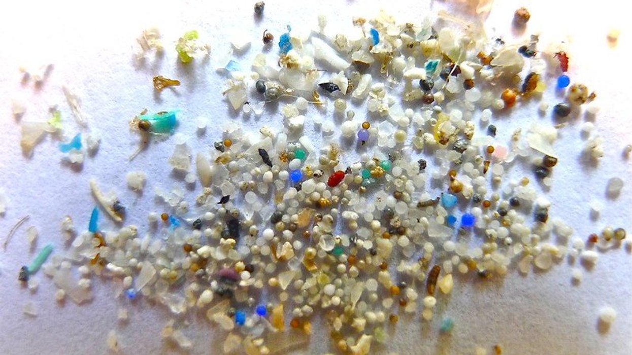 microplastics particles