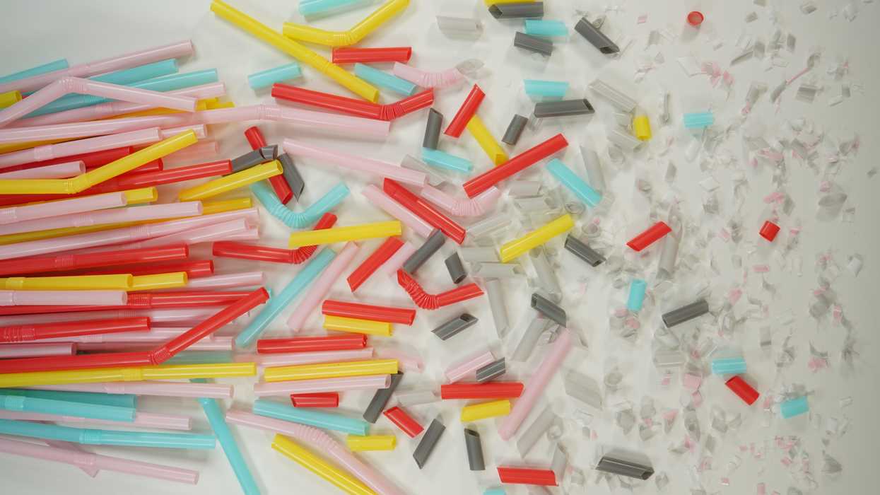 Microplastics weathered by water are more likely to infiltrate an animal’s cells