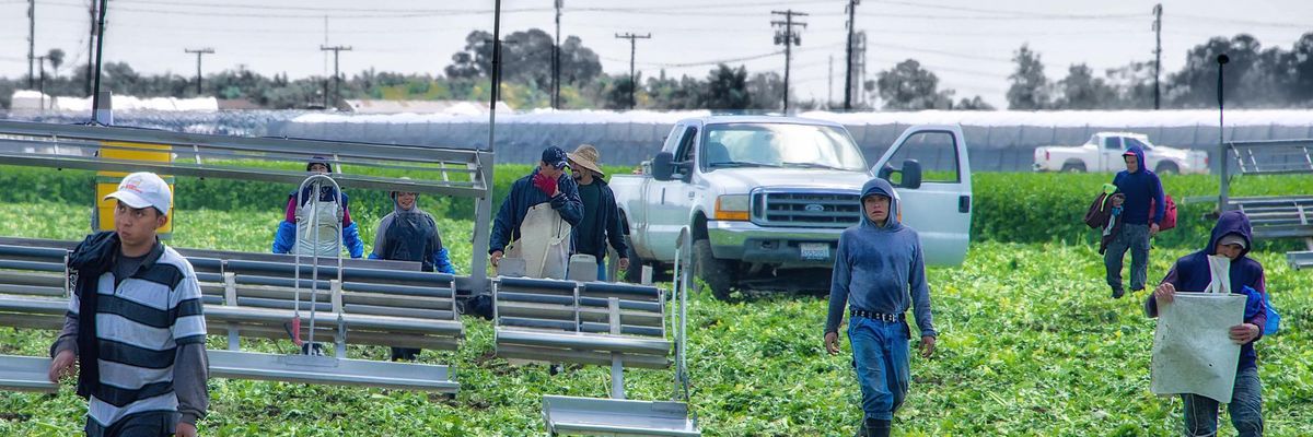 migrant farmworkers