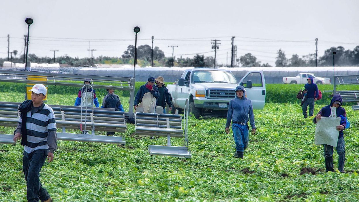 migrant farmworkers