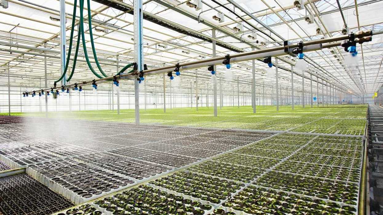 Modern greenhouse with automated overhead watering system