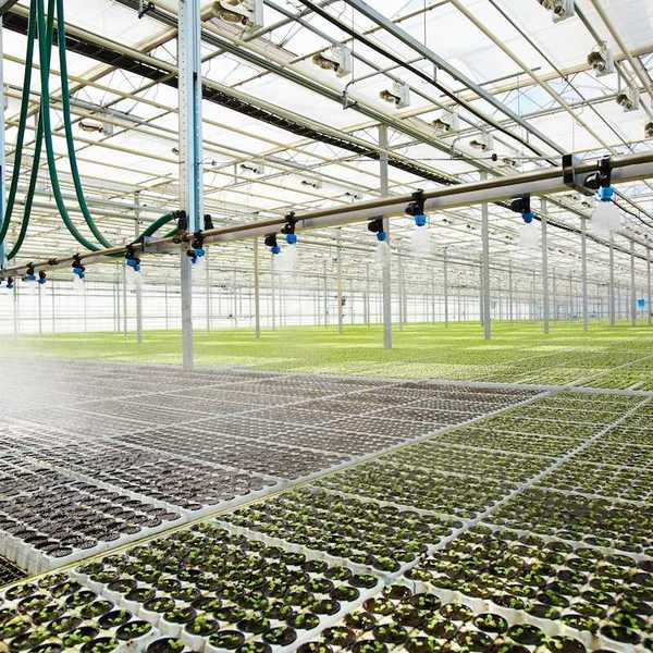 Modern greenhouse with automated overhead watering system