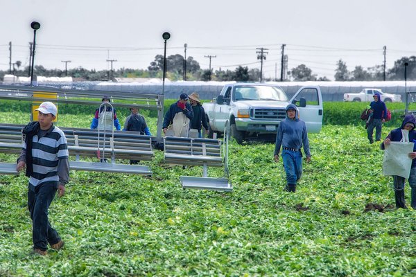 monsanto farmworkers