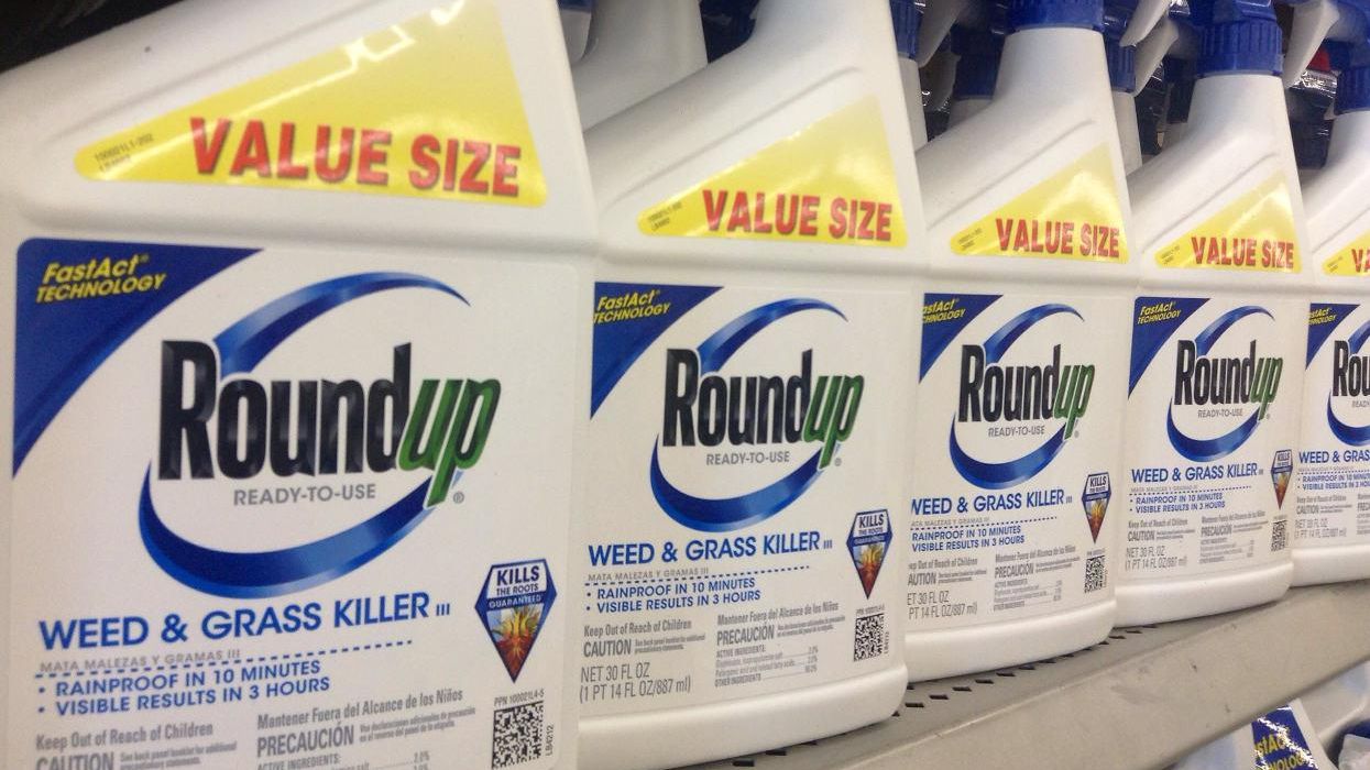 monsanto roundup