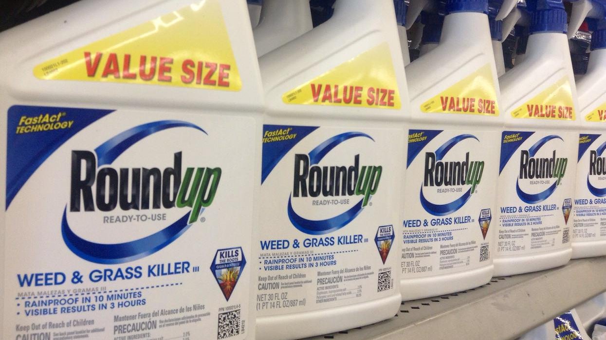 monsanto roundup