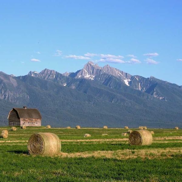 Montana landscape with barn and round-baled hay against snow-capped Rocky Mountains