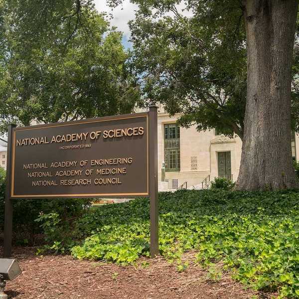 National Academy of Sciences sign outside federal building in Washington D.C.