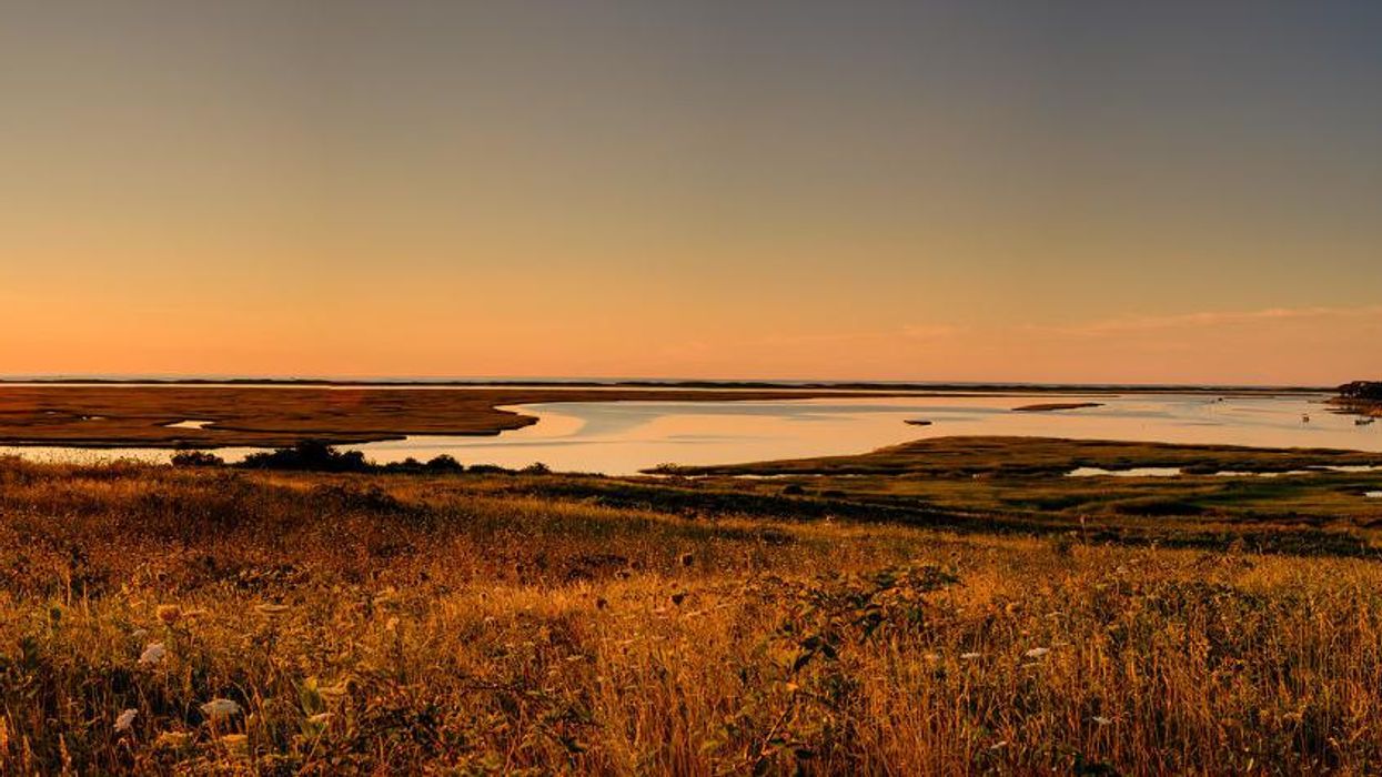 Nauset Marsh, Cape Cod