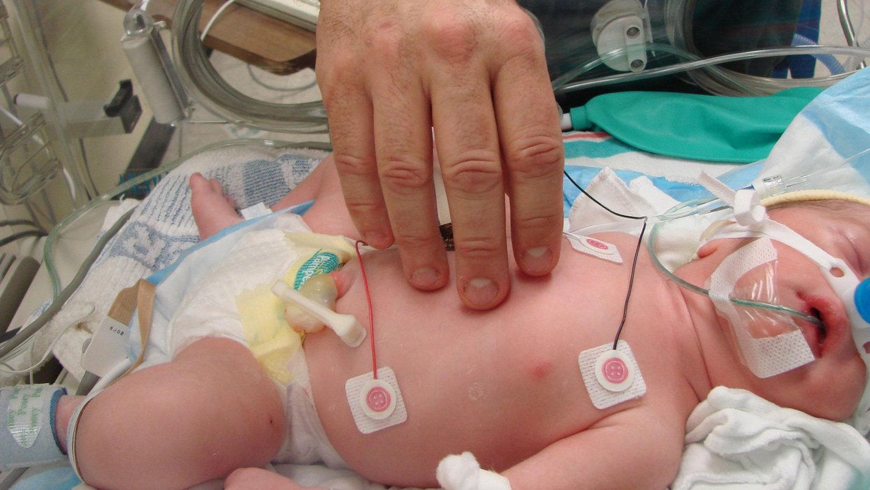 Neonatal intensive care phthalates DEHP medical devices