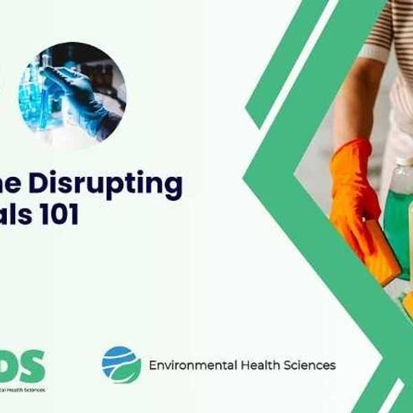 New online course: EDCs 101