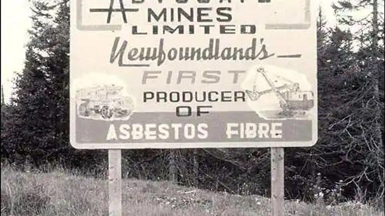 newfoundland toxic asbestos town