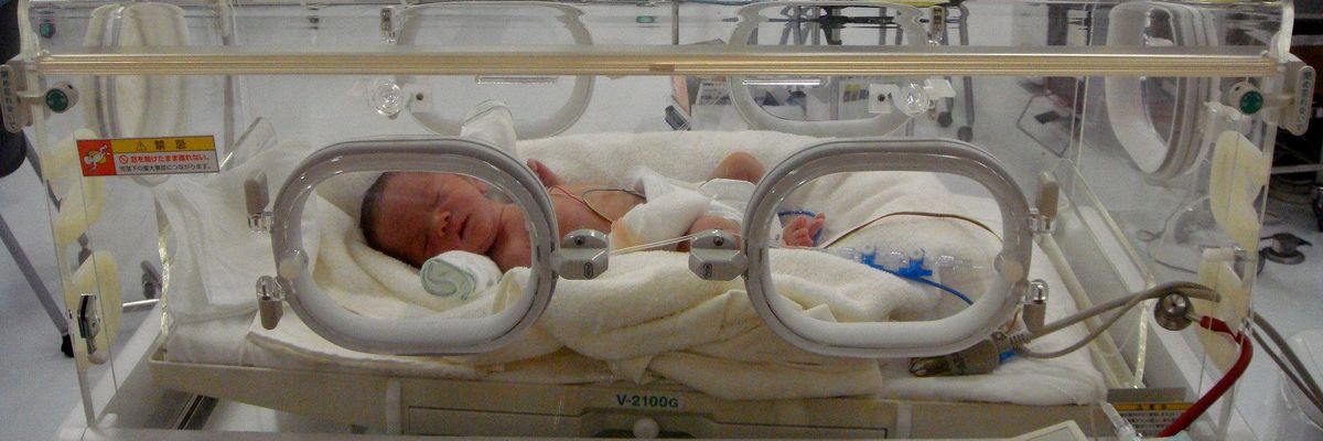 NICU phthalate