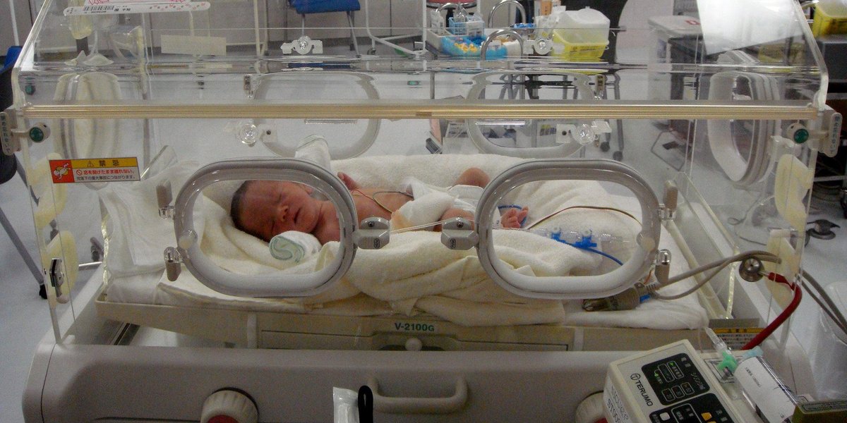 NICU phthalate