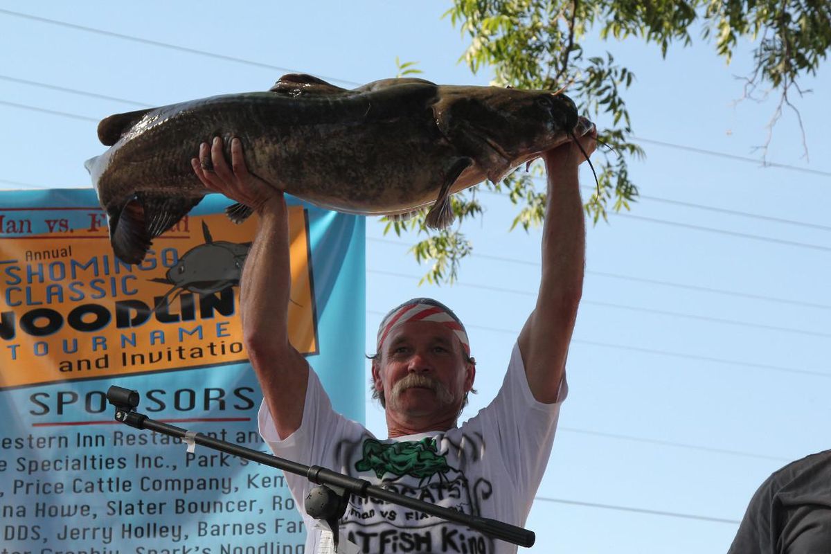 Noodling for catfish EHN