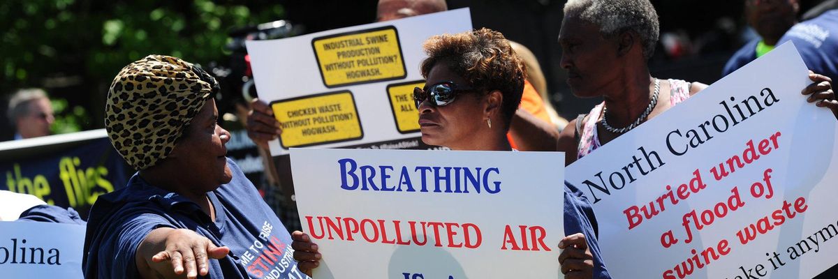 north carolina hog waste