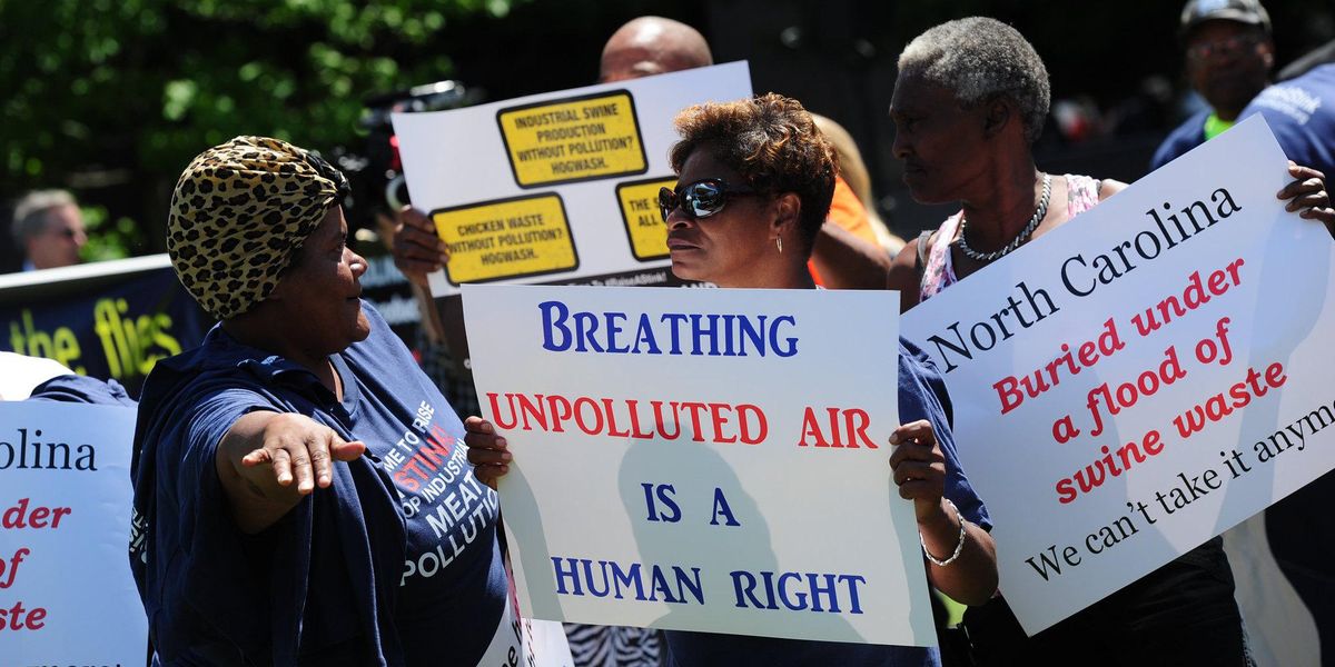 north carolina hog waste