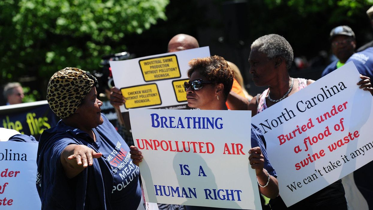 north carolina hog waste