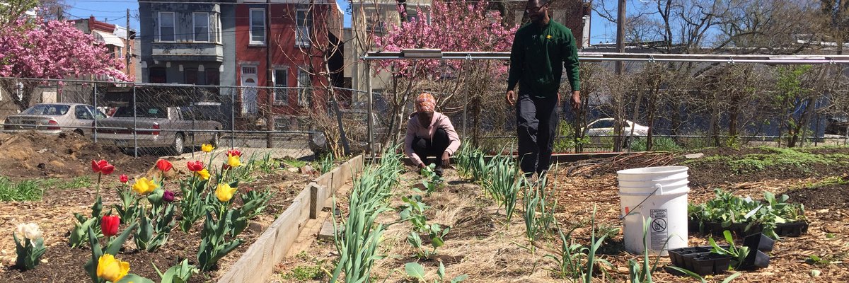 North Philadelphia farm