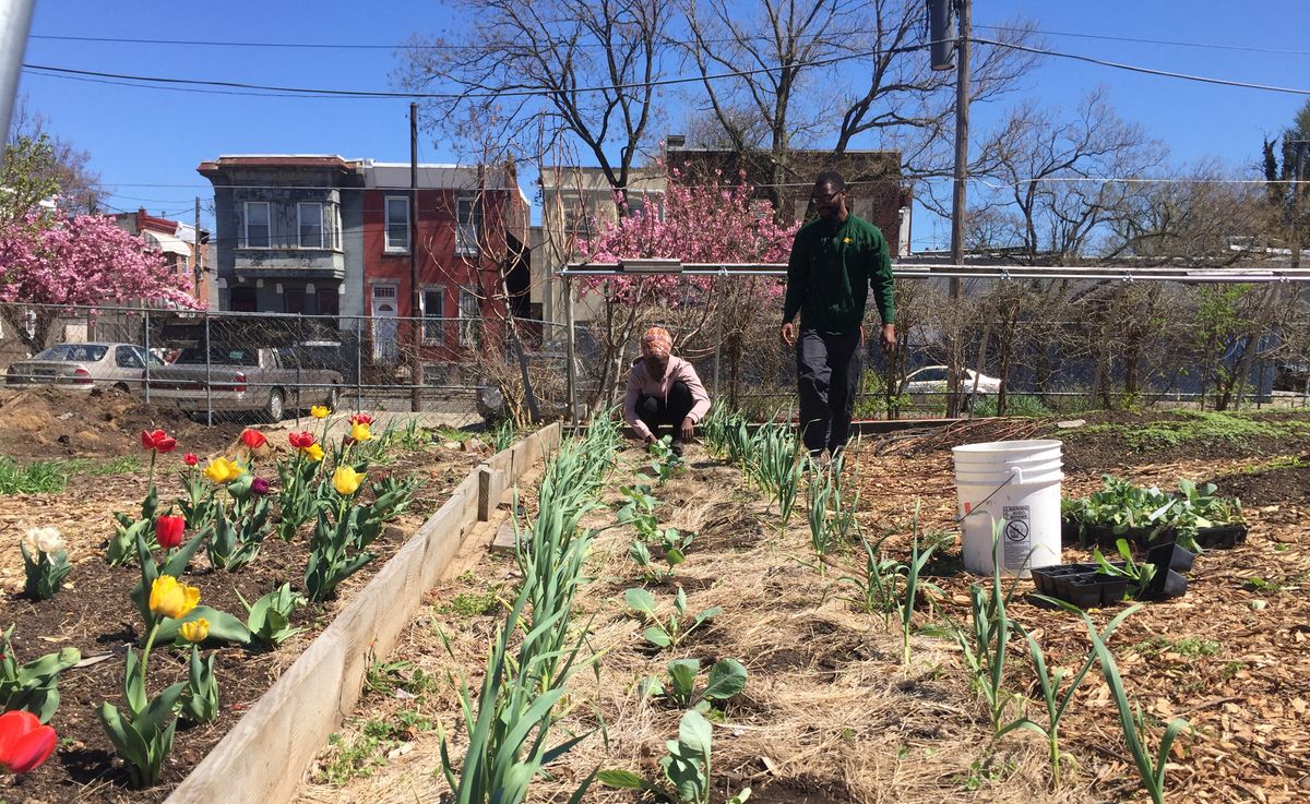 North Philadelphia farm