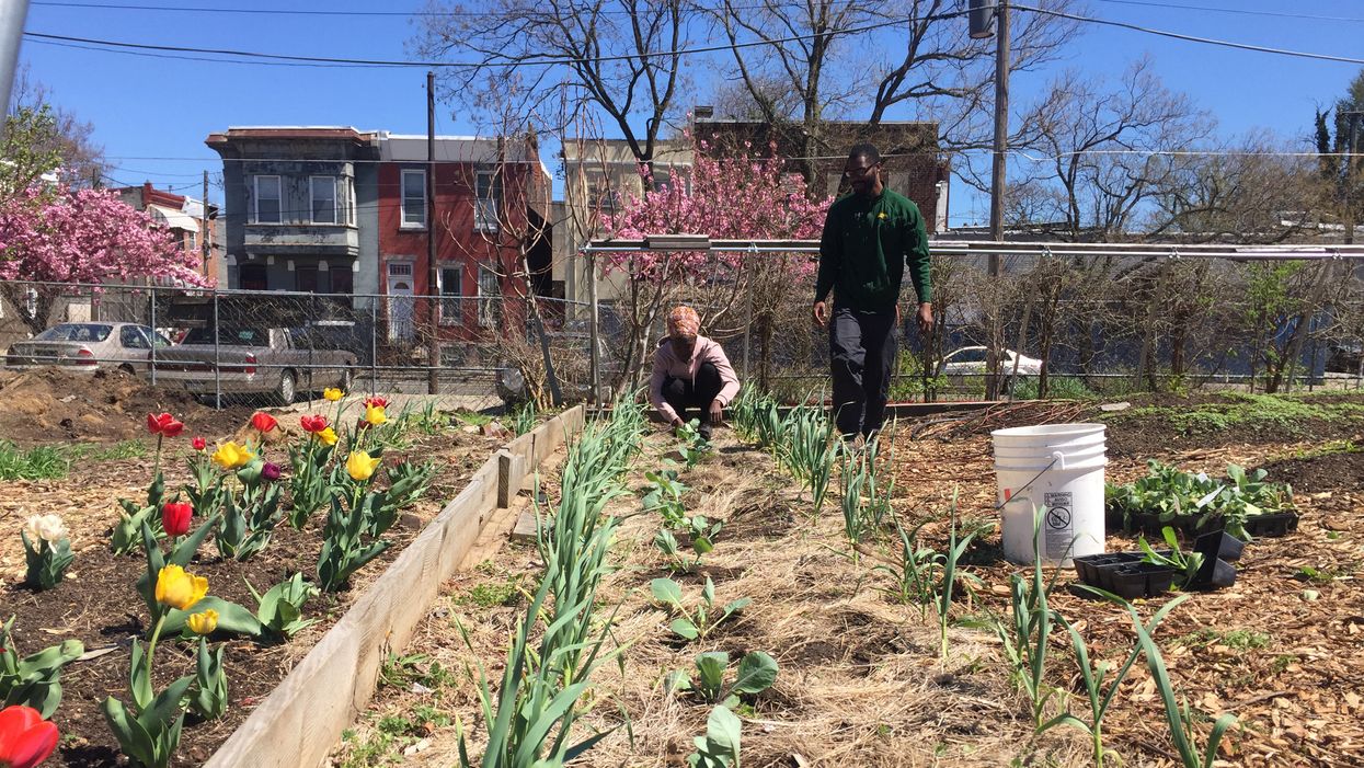 North Philadelphia farm