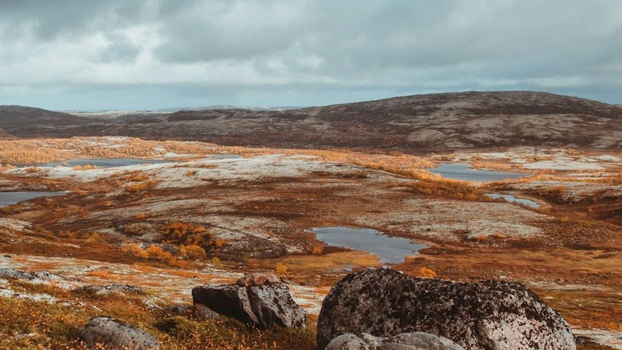 northern siberian tundra