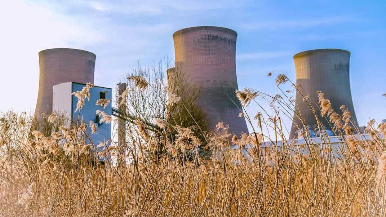 Nuclear cooling towers amongst tall weeds at idled nuclear plant in UK