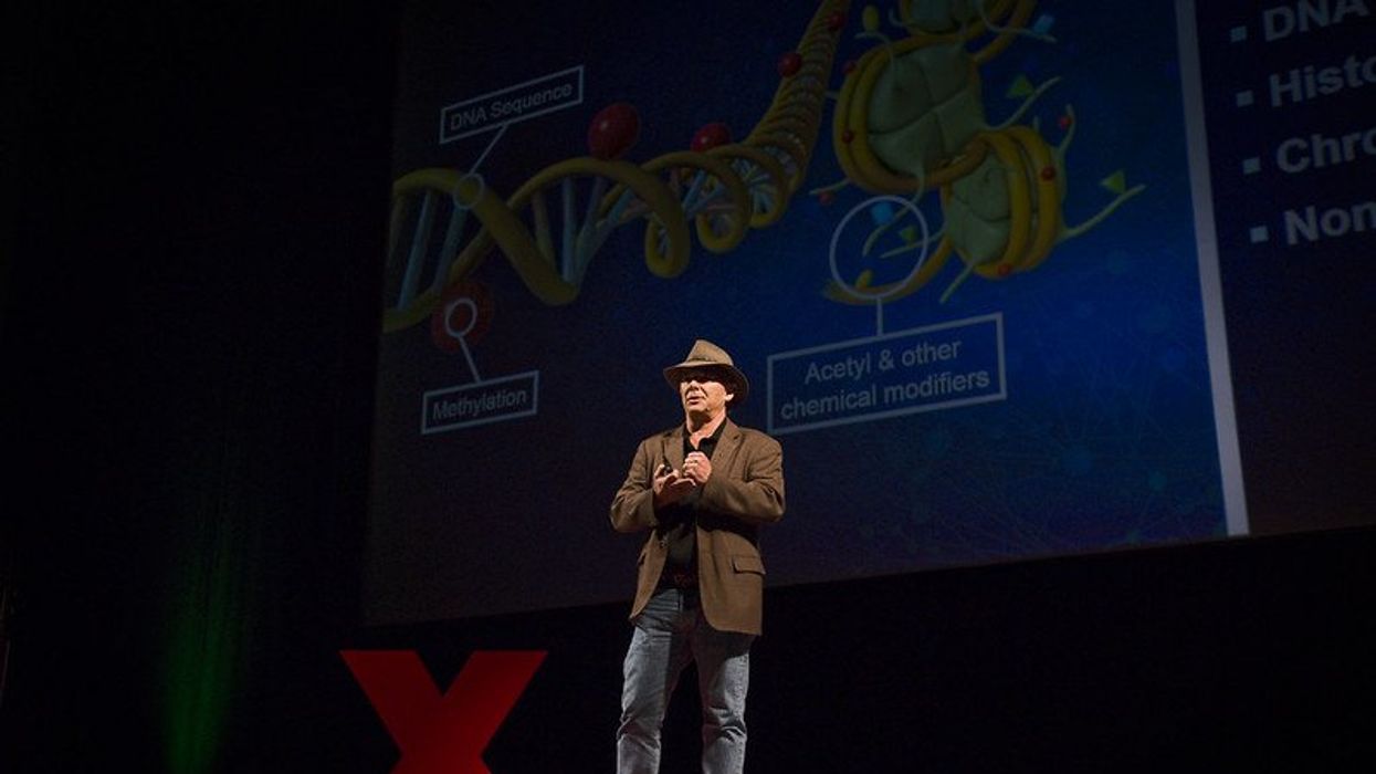 obesogens & epigenetics