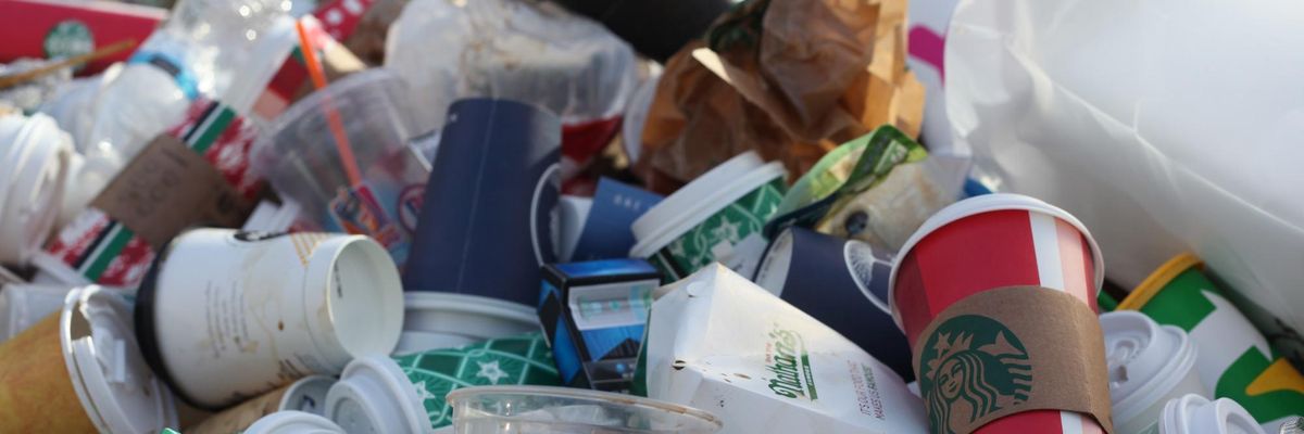 obesogens food packaging